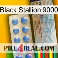 Black Stallion 9000 39